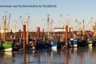  Mira Maris Norden/Norddeich - Landschaft