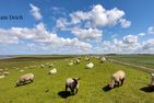  Mira Maris Norden/Norddeich - Landschaft