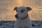  Mira Maris Norden/Norddeich - 