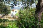  La Terrazza verde Dolcedo - 