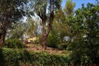  Casa Bianca Dolcedo - 