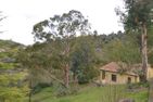  Casa Bianca Dolcedo - 