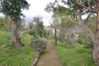  Casa Bianca Dolcedo - 