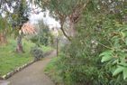  Casa Bianca Dolcedo - 