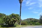  Cian de Basue Imperia - 