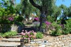  La Limonaia Imperia - 