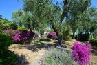  La Limonaia Imperia - 