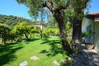  La Limonaia Imperia - 