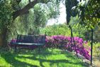  La Limonaia Imperia - 