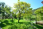 La Limonaia Imperia - 