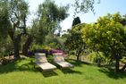  La Limonaia Imperia - 
