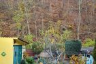  Ferienwohnung am Tiergarten Harz - 