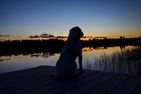  (28) Ferienhaus Lönneberga in Alleinlage mit Hund Smaland - 