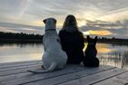  (28) Ferienhaus Lönneberga in Alleinlage mit Hund Smaland - 
