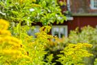  (28) Ferienhaus Lönneberga in Alleinlage mit Hund Smaland - 