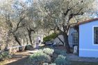  Nido Celeste Prela - 