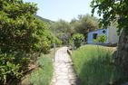  Nido Celeste Prela - 
