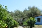  Nido Celeste Prela - 