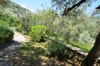  Nido Celeste Prela - 