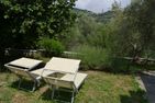  Nido Celeste Prela - 