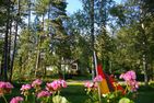  (2) Blaues Sommerhaus in Schweden mit eingezäuntem Grundstück Smaland - 