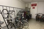  Playa Westerland - Sport / Aktivitäten