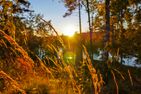  (1) Graues Sommerhaus in Schweden am See mit Boot Smaland - 