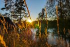  (1) Graues Sommerhaus in Schweden am See mit Boot Smaland - 