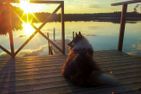  (1) Graues Sommerhaus in Schweden am See mit Boot Smaland - 