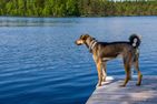  (3) Rotes Sommerhaus in Schweden mit eingezäuntem Grundstück Smaland - 