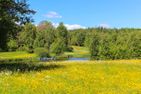  (3) Rotes Sommerhaus in Schweden mit eingezäuntem Grundstück Smaland - 
