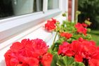  (3) Rotes Sommerhaus in Schweden mit eingezäuntem Grundstück Smaland - 