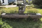  Sundrella (294 Bi) Lenzerheide - 