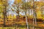  (20) Ferienhaus Nilssons am See mit Sauna Smaland - 