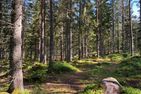  (20) Ferienhaus Nilssons am See mit Sauna Smaland - 