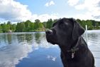 (20) Ferienhaus Nilssons am See mit Sauna Smaland - 