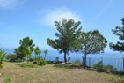  Villa delle Rose Imperia - 