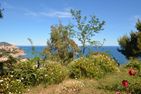  Villa delle Rose Imperia - 