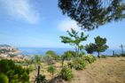  Villa delle Rose Imperia - 