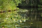 Nördlicher Bunn, (8) Ferienhaus Smedjan am See Bunn mit Boot Smaland - 