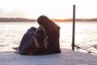  (7) Ferienhaus Björkebo mit Badeplatz See Stora Nätaren Smaland - 