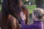  (7) Ferienhaus Björkebo mit Badeplatz See Stora Nätaren Smaland - 