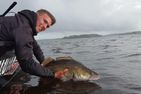  17. Ferienhaus Småland am Zander See Stora Nätaren Smaland - 