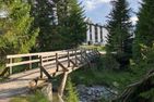 Sundrella (294 Bi) Lenzerheide - 