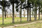  AlleenHuus Sternberg/Warin - Landschaft