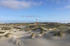 Amrumer Welle Ferienwohnung „Aalto" Wittdün auf Amrum - Landschaft