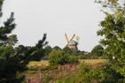 Hüs Sanskiin Ferienwohnung *Aawerkant* Süddorf auf Amrum - Landschaft