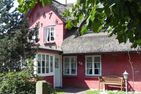 Hüs Sanskiin Ferienwohnung *Goodshenk* Süddorf auf Amrum - Hauptansicht