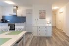  Deichkieker Nordstrand - 