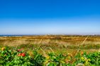  Kampenlounge ehemals Walter´s Hof Kampen - Landschaft